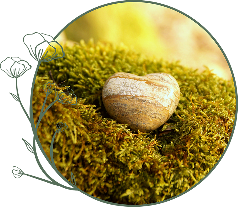 Häufig gestellte Fragen zu bezahlbaren Naturbestattungen